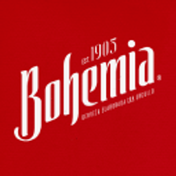 Giochi Bohemia Interactive